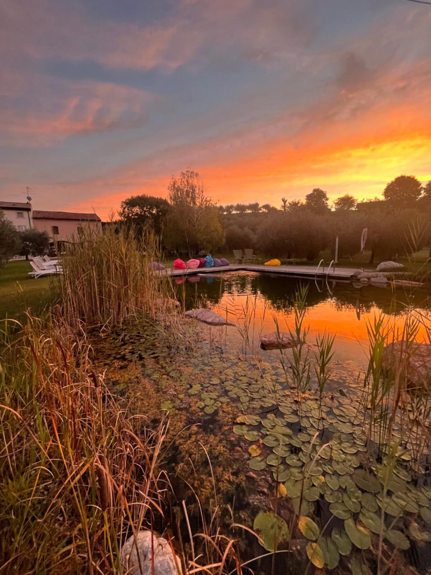 Agriturismo Casa Aurora Bussolengo Eksteriør bilde