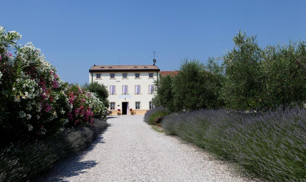 Agriturismo Casa Aurora Bussolengo Eksteriør bilde